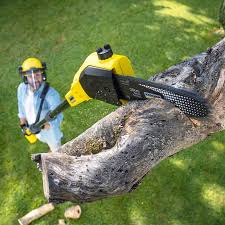 Best Stump Grinding and Removal  in Los Molinos, CA
