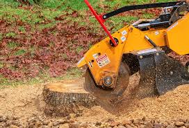 Best Soil Testing and Treatment  in Los Molinos, CA